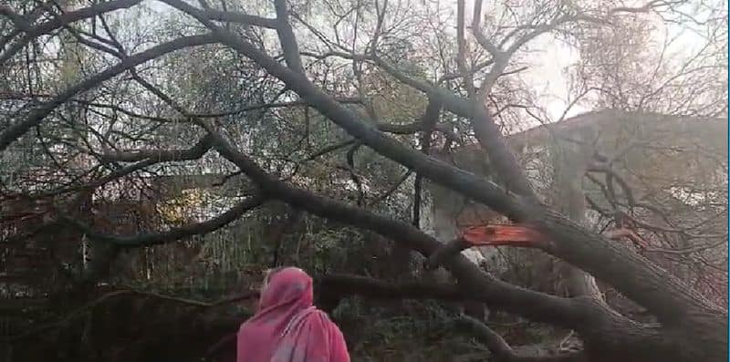 Heavy rain with thunder in Bidar today rav