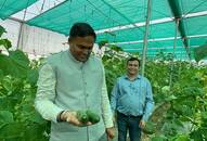 Cultivating Success Making Rs 30 lakh in a year with polyhouse farming methods Kamlesh Mishra iwh