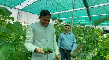 Success Story of deoria farmer kamlesh mishra polyhouse farming zrua