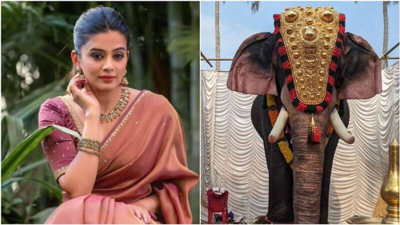 actress priyamani donates robo elephant to thrikkayil mahadevan temple in ernakulam gvd