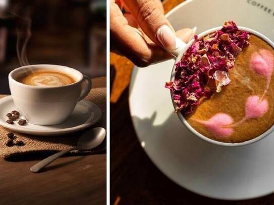 Use of coffee to reduce fatty liver drink 2 times study xbw