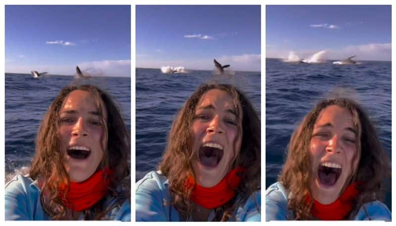 Social media takes over selfie viral video of young woman with whales 