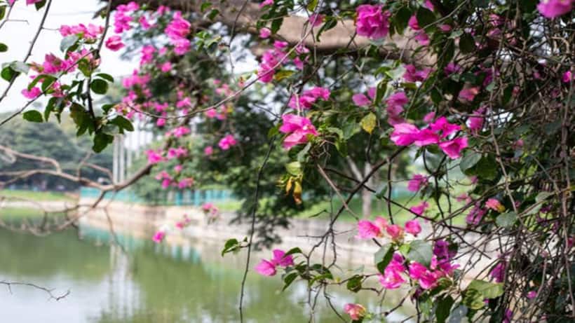 5 natural and beautiful places to visit in Bengaluru this spring