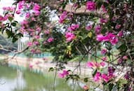 5 natural and beautiful places to visit in Bengaluru this spring nti