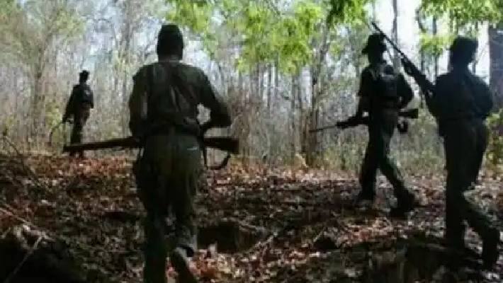 Gadchiroli forest