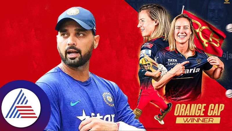 Murali Vijay want to take ellyse perry on dinner date RCB key player replies to cricketer wish ckm