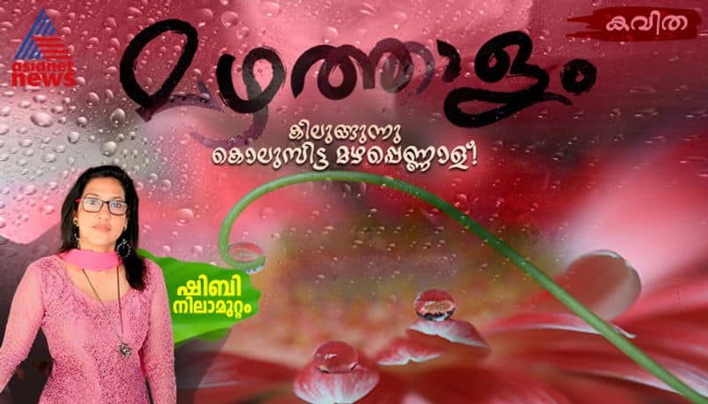 vakkulsavam malayalam poem by Shibi Nilamuttam