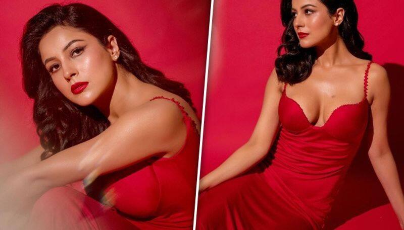 Sexy photos: Shehnaaz Gill shows off cleavage in red HOT deep-neck gown; check pics RBA