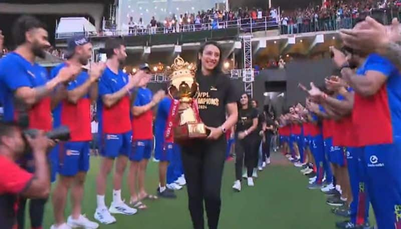 Virat Kohli And Co Give Guard Of Honour To Smriti Mandhana Led RCB After Historic WPL 2024 Win kvn