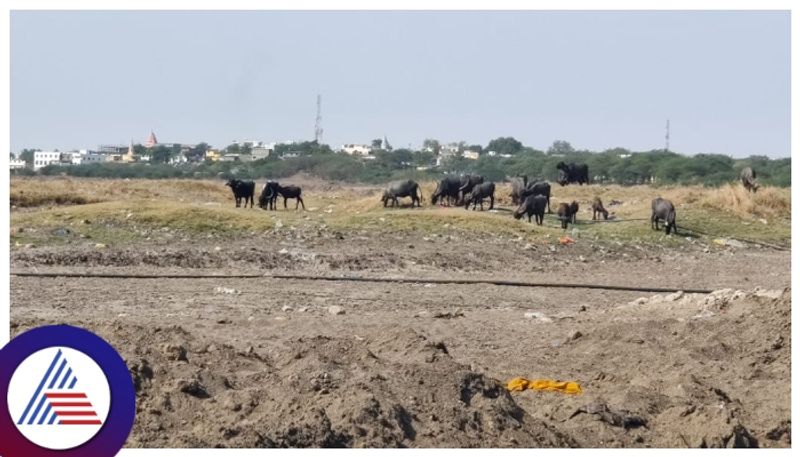 Bhima River dries up droughts in north Karnataka gow