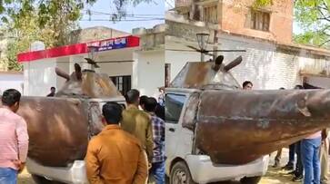 Brothers in UP transform Maruti Suzuki Wagon R into a helicopter, police seize vehiclertm