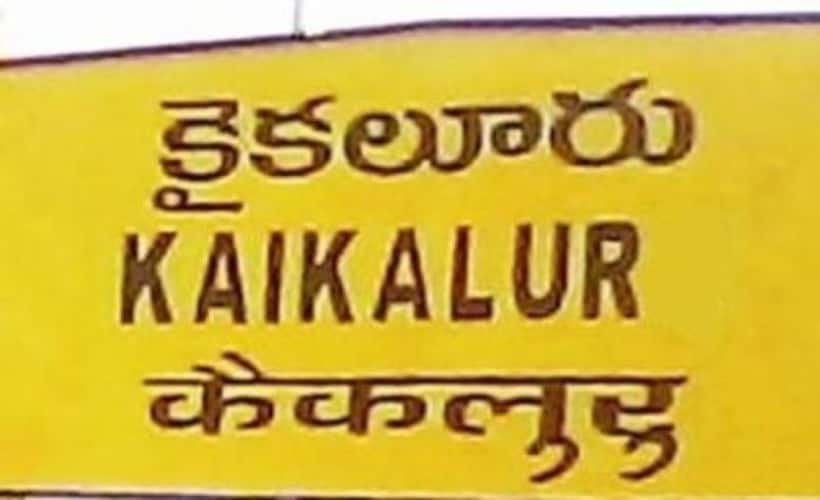 కైకలూరు అసెంబ్లీ ఎన్నికల ఫలితాలు 2024