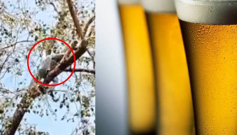 man was charged extra rupees on beer bottle attempt suicide rlp