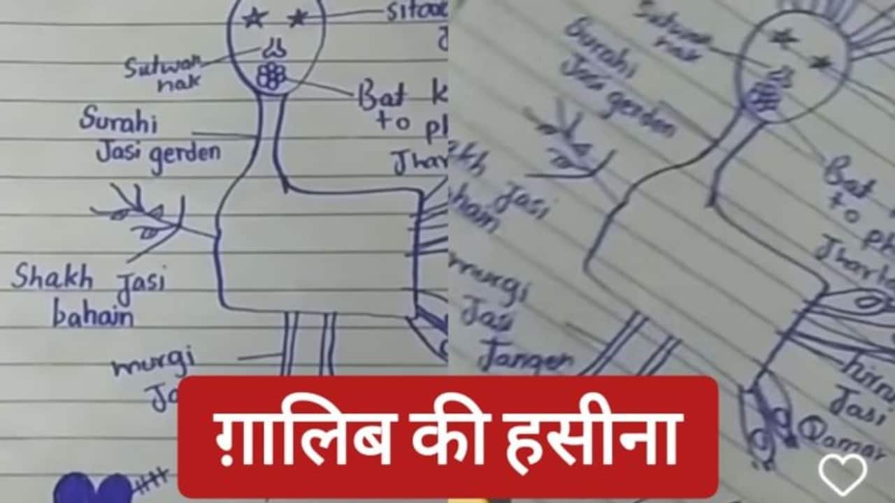 या खुदा .. ग़ालिब जिंदा होते तो इस तस्वीर को देखकर दोबारा मर जाते हैं