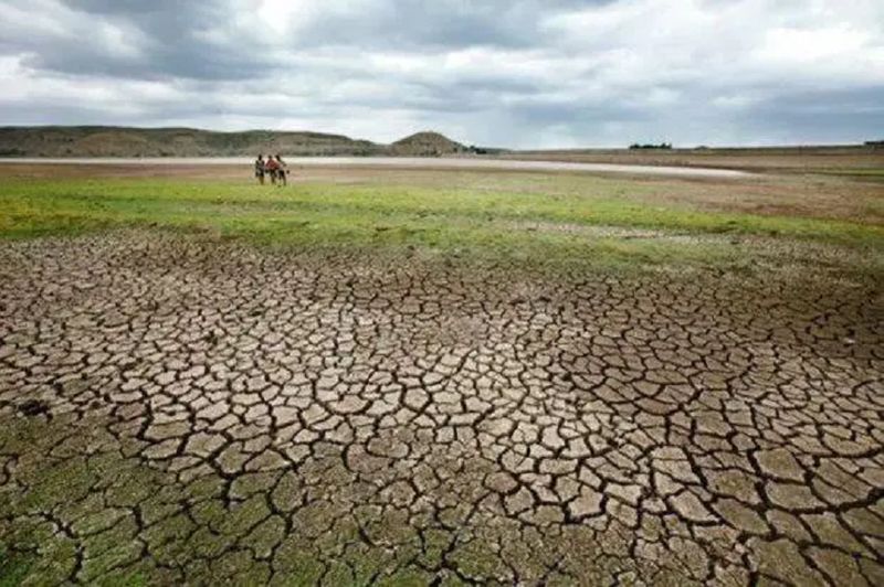 Drought relief for barren land Crores of rupees squandered in Yadgir gvd