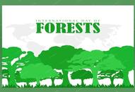 International day of Forest 2024: what is the significance of the day nti