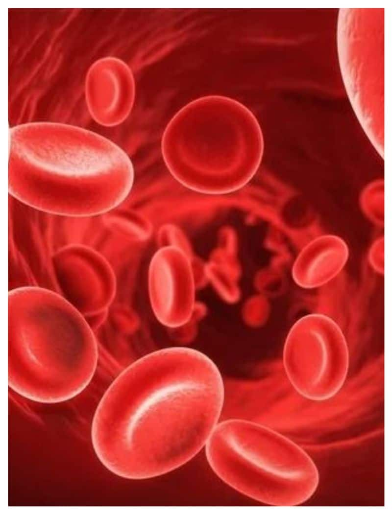 Foods That Help Increase Hemoglobin Levels