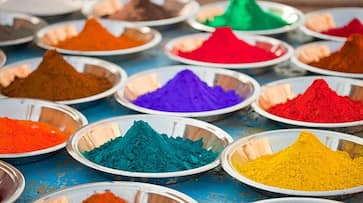  Holi 2024: How synthetic colors are harmful to  you nti