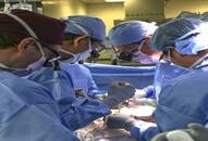 For the fist time ever, a living person receives pig-kidney transplant nti