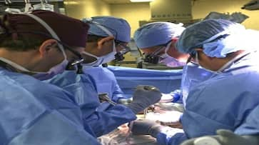 For the fist time ever, a living person receives pig-kidney transplant nti