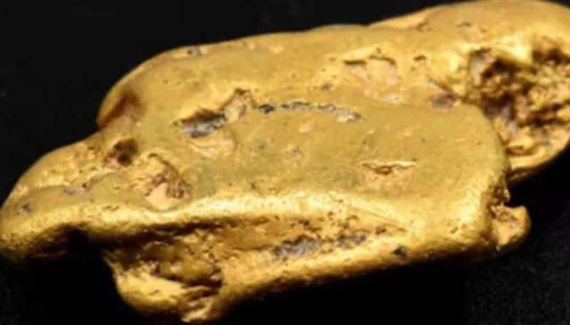 67 year old found 31 lakh worth gold nugget with the help of a metal detector rlp