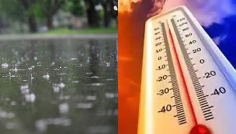 Kerala Weather Update: Light rainfall expected in 8 districts; temperature to rise in 3 districts; Check