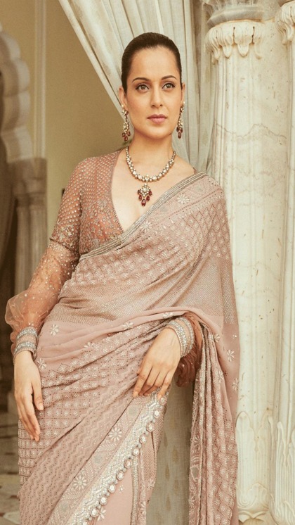 Pastel Colored Chikanakari Saree