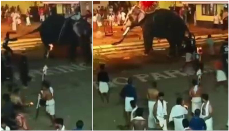 Kerala: Elephant runs amok during Arattupuzha temple festival; several injured anr