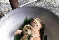 40 lacs cat meat eat by Chinese every year zkamn