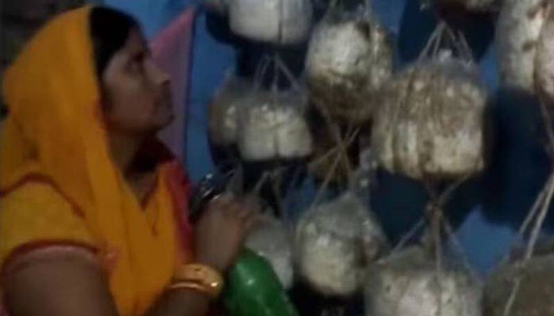 woman cultivated mushroom in bedroom earns 2000 per day rlp