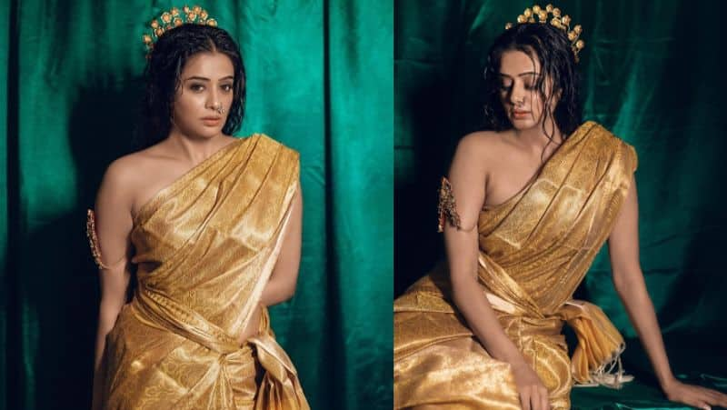 Jawan Actress Priyamani saree without blouse Photoshoot viral gan