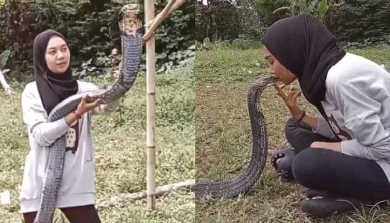 woman passionately kissing a king cobra rlp