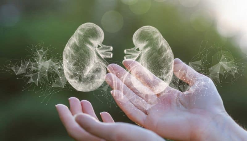 World Kidney Day 2025 These Daily Habits Can Protect Your Kidneys