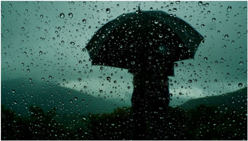 IMD predicts week-long rainfall in Kerala; yellow alert sounded in 8 districts on september 3 2024 anr