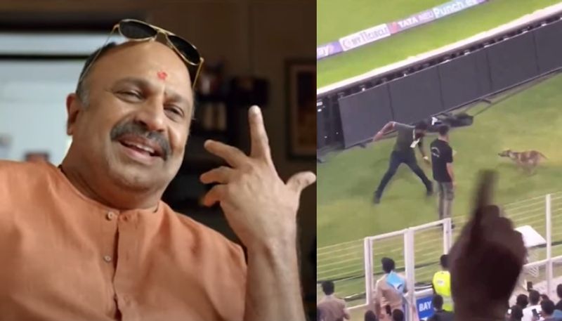 Dog enters Narendra Modi Stadium during IPL 2024 Match between Gujarat Titans vs Mumbai Indians yesterday