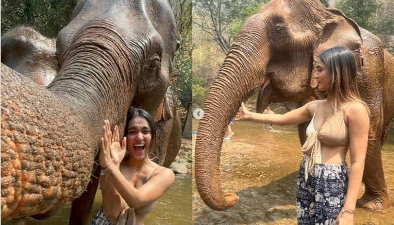 actress saniya iyappan share photos in thailand visit nrn 