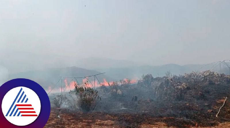 Heavy forest fire in Dattapeeth environment at chikkamagaluru rav