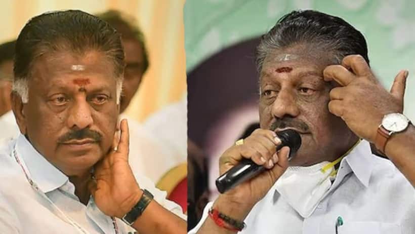 Lok Sabha elections 2024: 5 named 'Panneerselvam' file nominations as Independents in Tamil Nadu