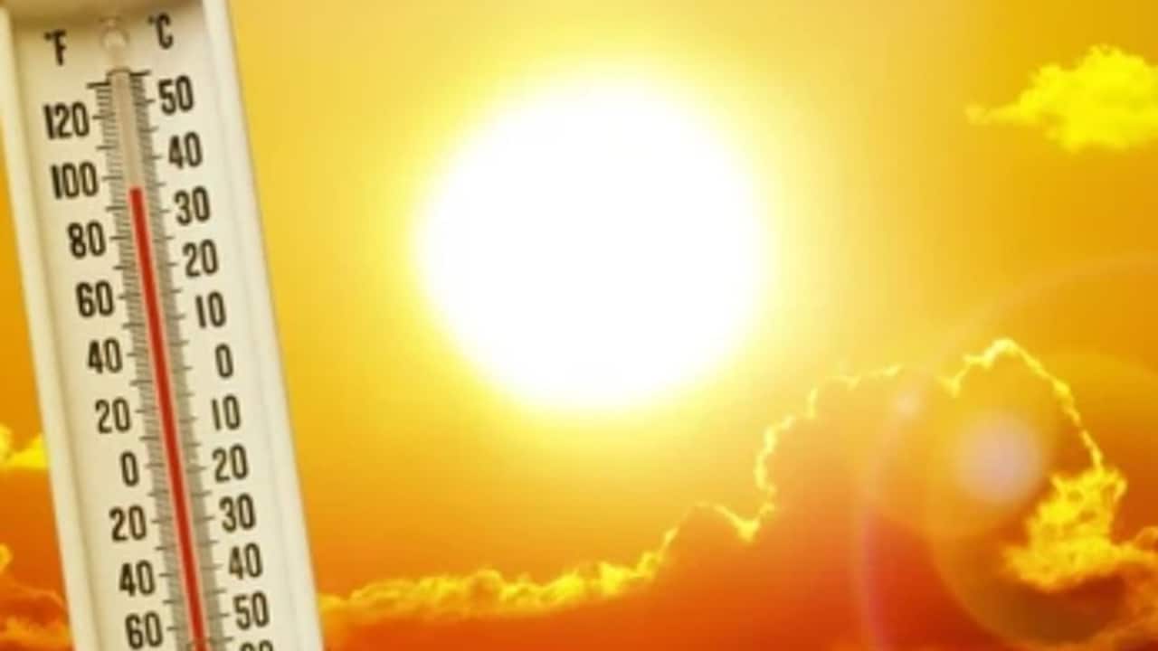 Kerala Weather Update: Temperature expected to rise in 12 districts; IMD issues yellow alert