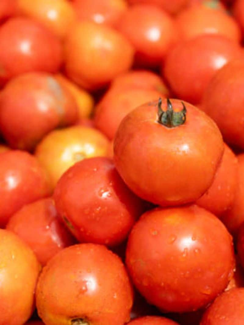 Chennai Tomato, Onion prices DROP; brings relief for households ATG