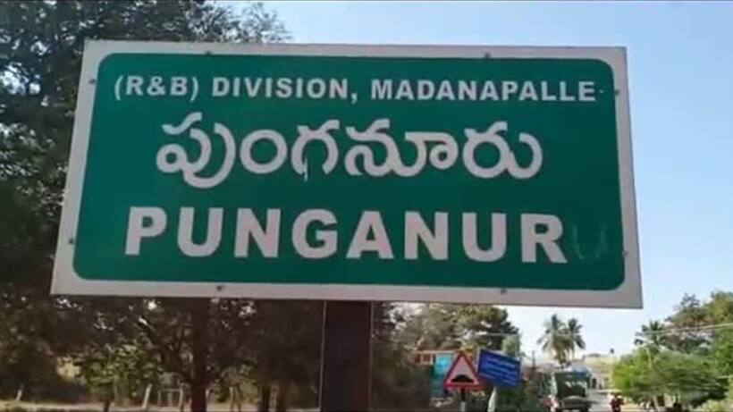 పుంగనూరు అసెంబ్లీ ఎన్నికల ఫలితాలు 2024