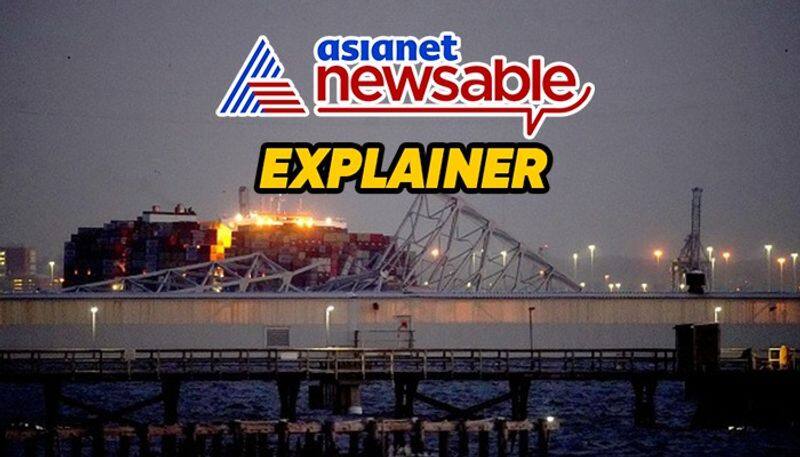 Explained Why cargo ship may have crashed into Francis Scott Key Bridge; will its collapse impact shipping?