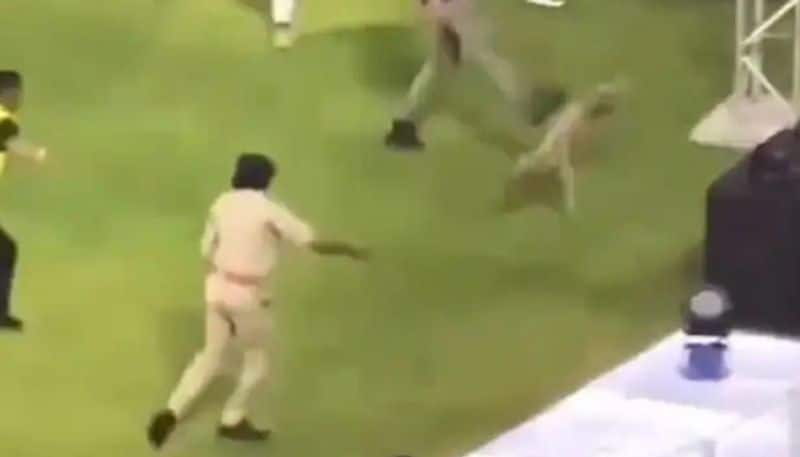 cricket IPL 2024: Outrage among Animal activists as Dog gets kicked during GT vs MI (WATCH) osf