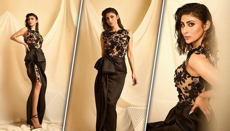 SEXY photos: Mouni Roy looks stunning in HOT thigh-high slit gown; actress shares pics on Instagram RBA