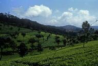 Explore South India: 5 beautiful hill stations can visit this summer vacation nti