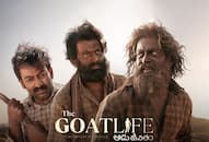 Malayalam movie 'The Goat Life' bags two nominations at Hollywood Music in media awards