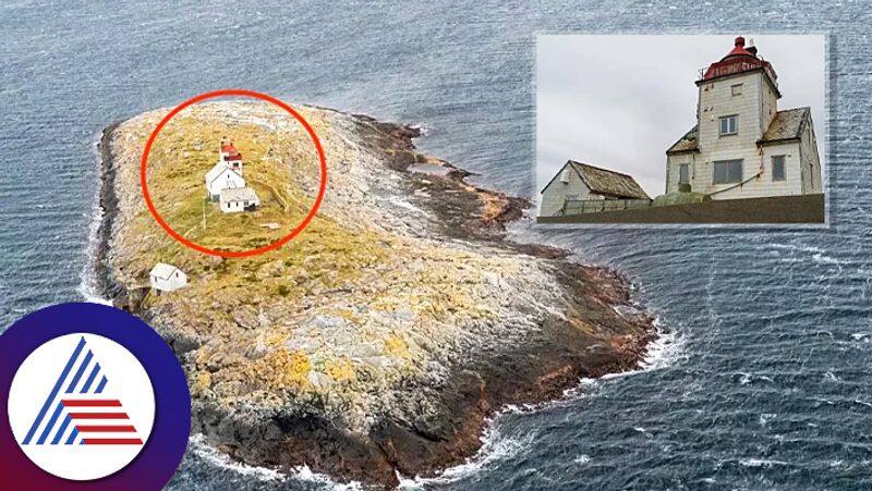 Couples bought loneliest home at  Norwegian Island pav