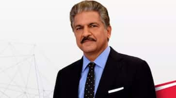 'Evidence of reverse colonization': Anand Mahindra shares London adopting Mumbai's dabbawala system; WATCH vid RTM