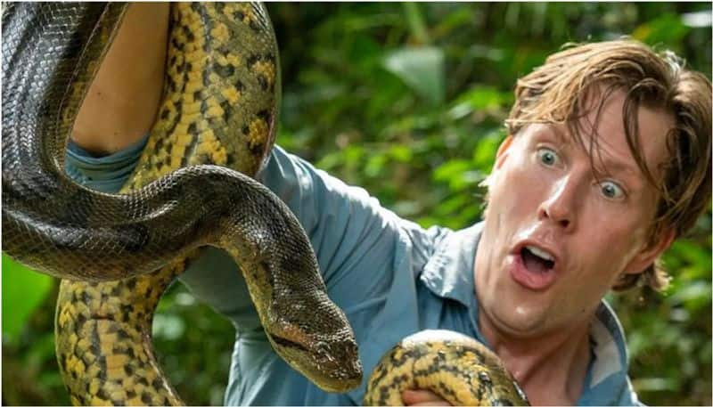 Ana Julia, World's Largest Snake, Found Dead prm