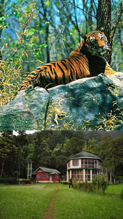 Jim Corbett National Park, Uttarakhand